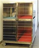 ambulatorio veterinario negretto mestre