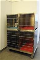 ambulatorio veterinario negretto mestre ambulatorio veterinario negretto mestre