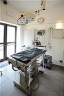 ambulatorio veterinario negretto mestre