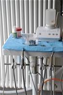 ambulatorio veterinario negretto mestre ambulatorio veterinario negretto mestre