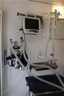 ambulatorio veterinario negretto mestre ambulatorio veterinario negretto mestre