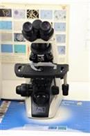 ambulatorio veterinario negretto mestre ambulatorio veterinario negretto mestre